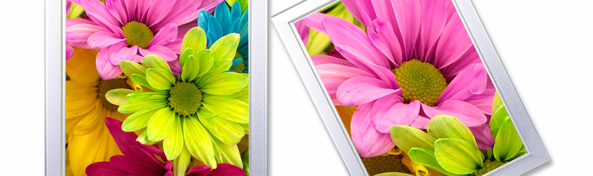 ht2500uv卷材打印机